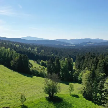 Altes Forsthaus Апартаменты *