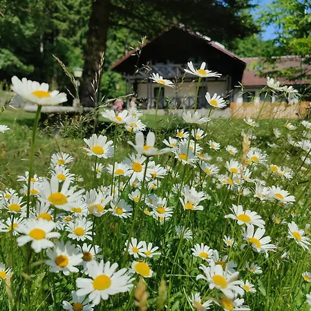 Altes Forsthaus