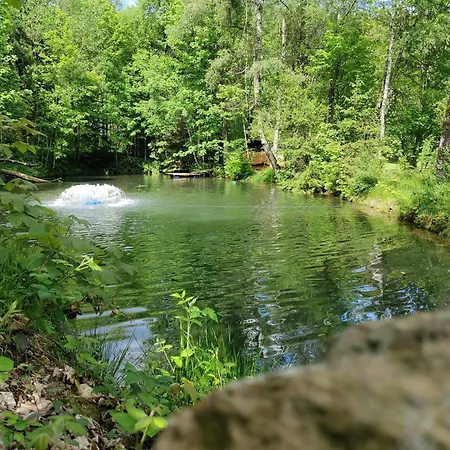 Altes Forsthaus بودنمايس